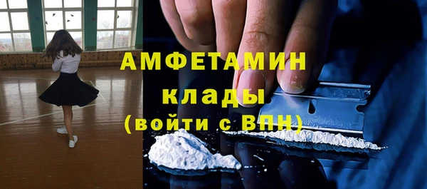 сатива Баксан