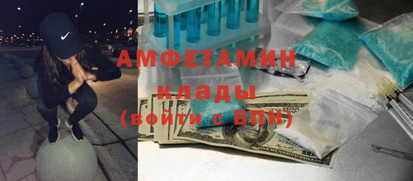 сатива Баксан