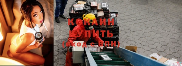 сатива Баксан