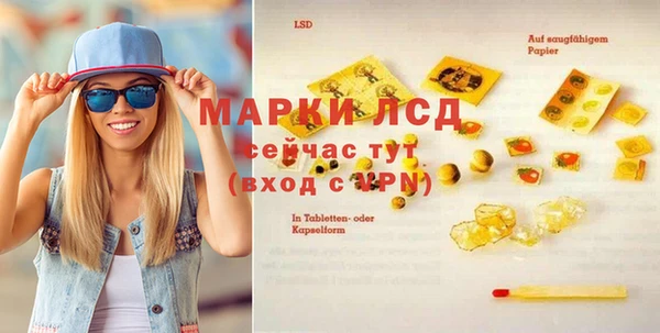сатива Баксан