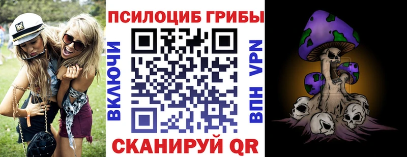 где продают наркотики  Ессентуки  Псилоцибиновые грибы Magic Shrooms 